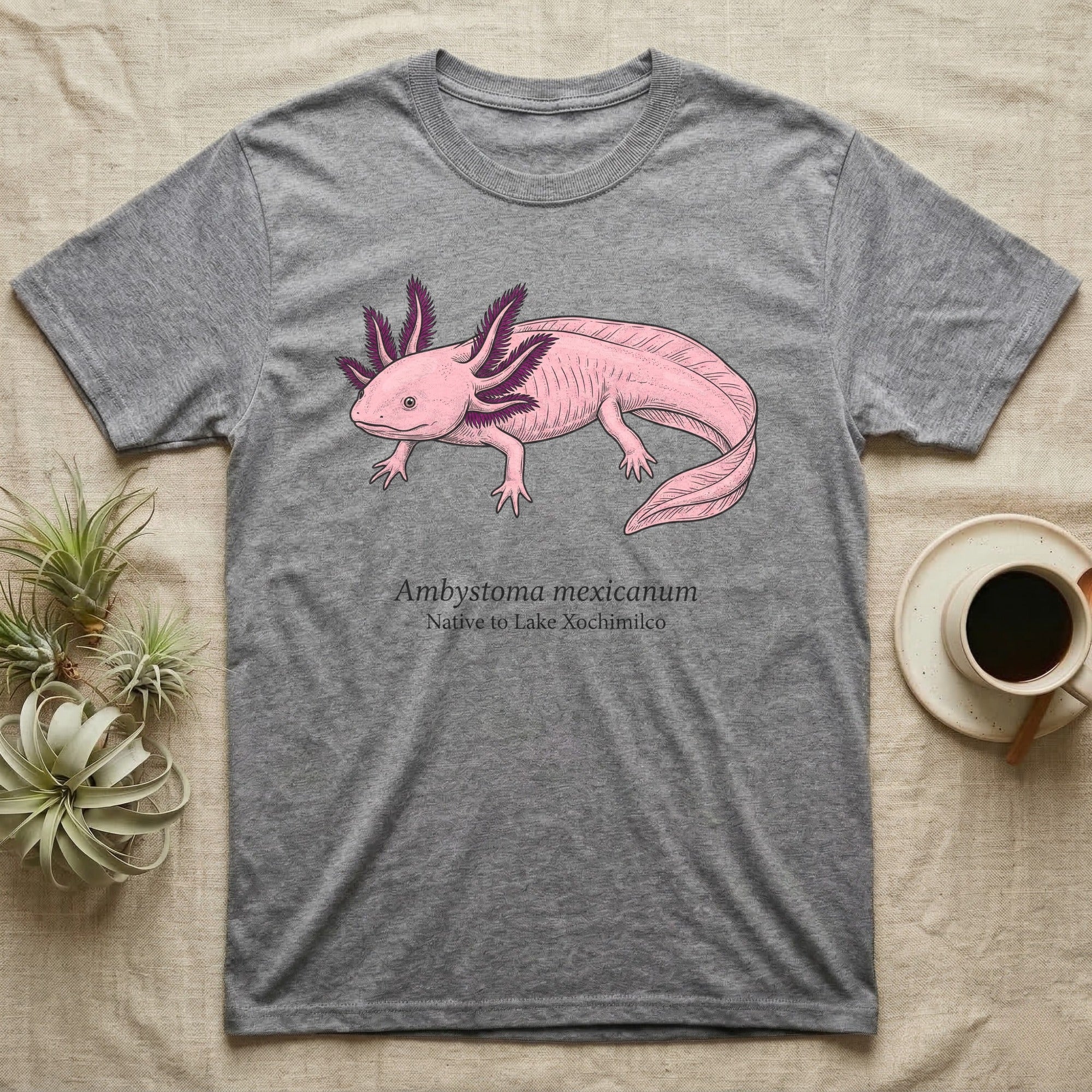 Grey t-shirt with a pink axolotl illustration and text "Ambystoma Mexicanum".