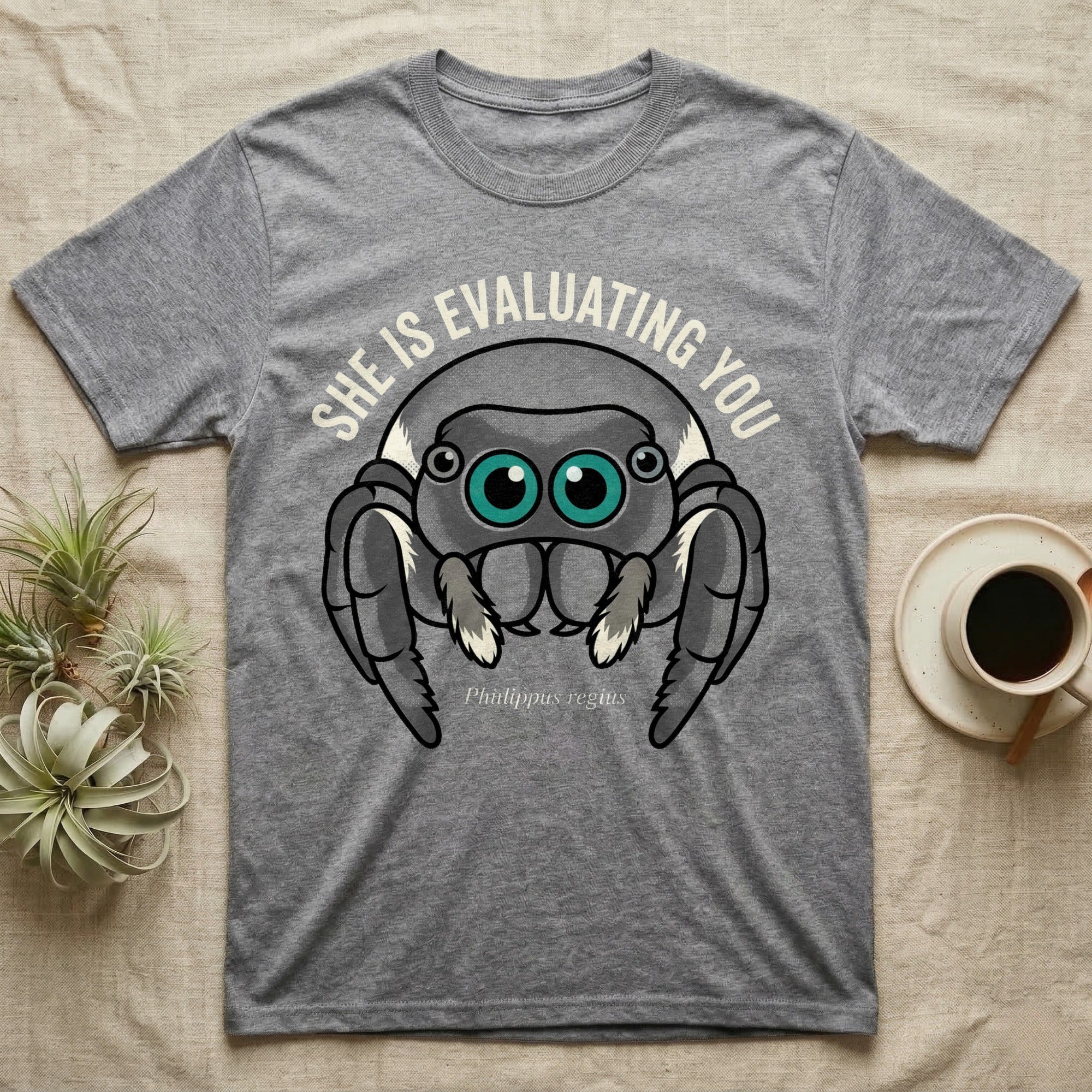 Phidippus Regius Jumping Spider Tee in Sport Grey — Vector-bold front-facing regal jumping spider portrait with electric-teal anterior-median eyes on a cream-and-charcoal body.