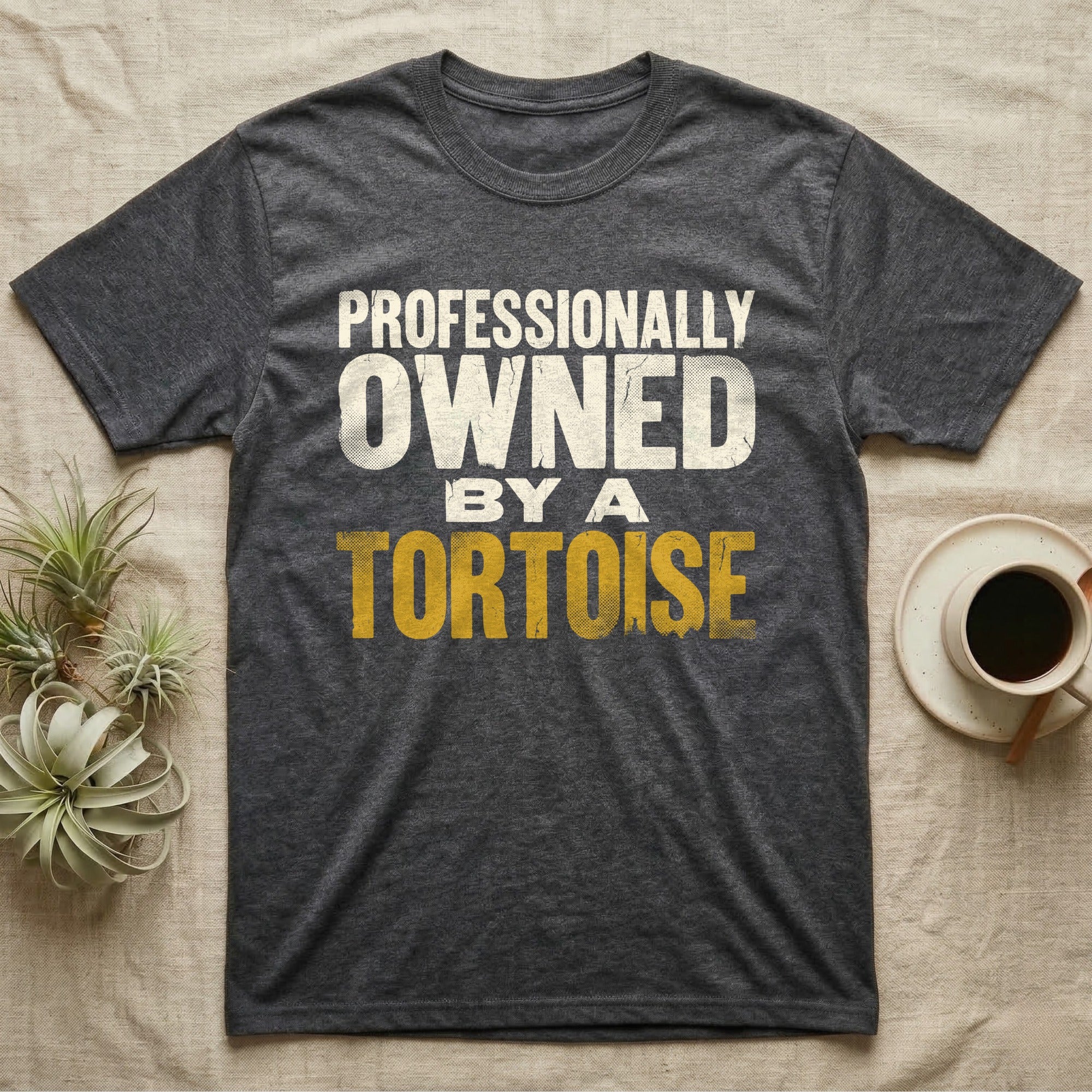 Owned By A Tortoise T-Shirt in Dark Heather — Distressed woodtype wordmark reading professionally owned by a tortoise in a bold two-tier lockup, text only.