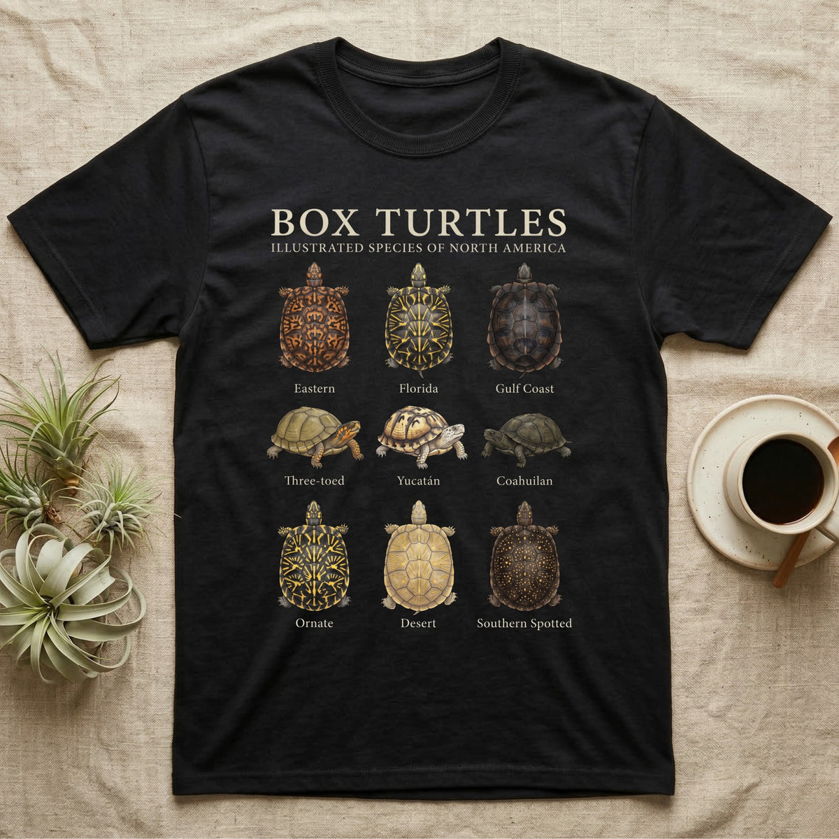 Box Turtle Chart T-Shirt in Black — Watercolour chart of nine named North American box turtles under a cream serif Box Turtles title