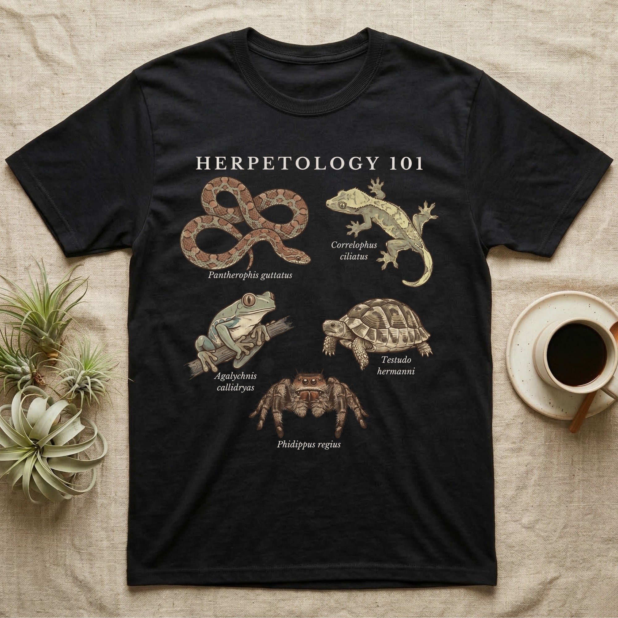 Herpetology 101 Reptile T-Shirt in Black — Vintage naturalist specimen plate of five terrarium animals arranged as a Herpetology 101 field-guide roster.