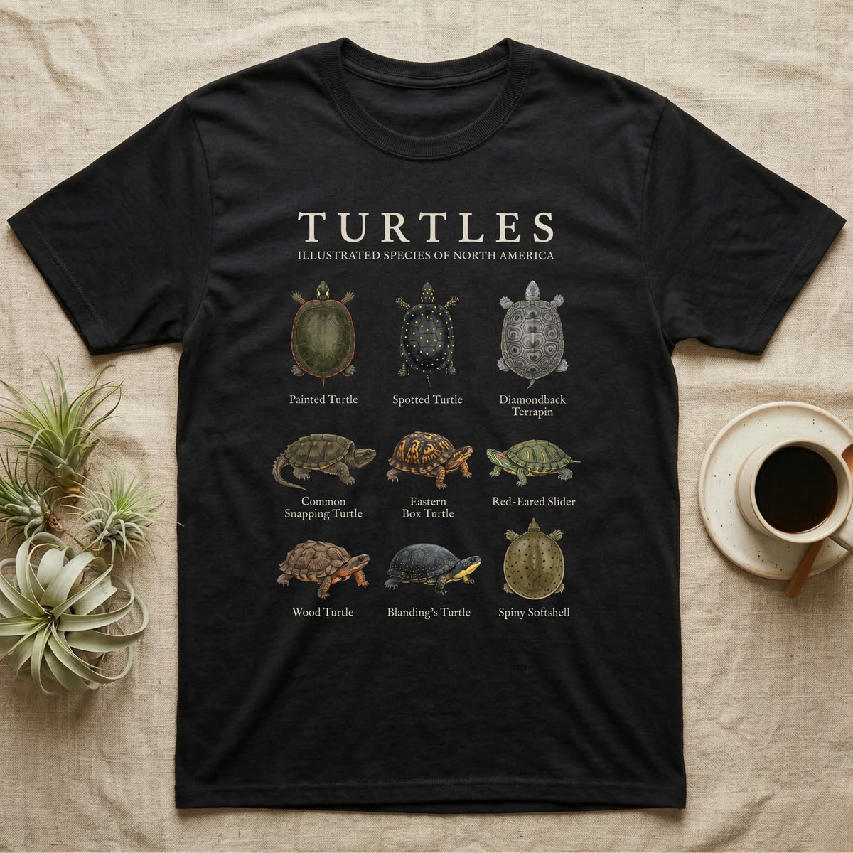 Turtle Species Chart T-Shirt in Black — Watercolour chart of nine named North American turtles under a cream serif Turtles title on charcoal grey