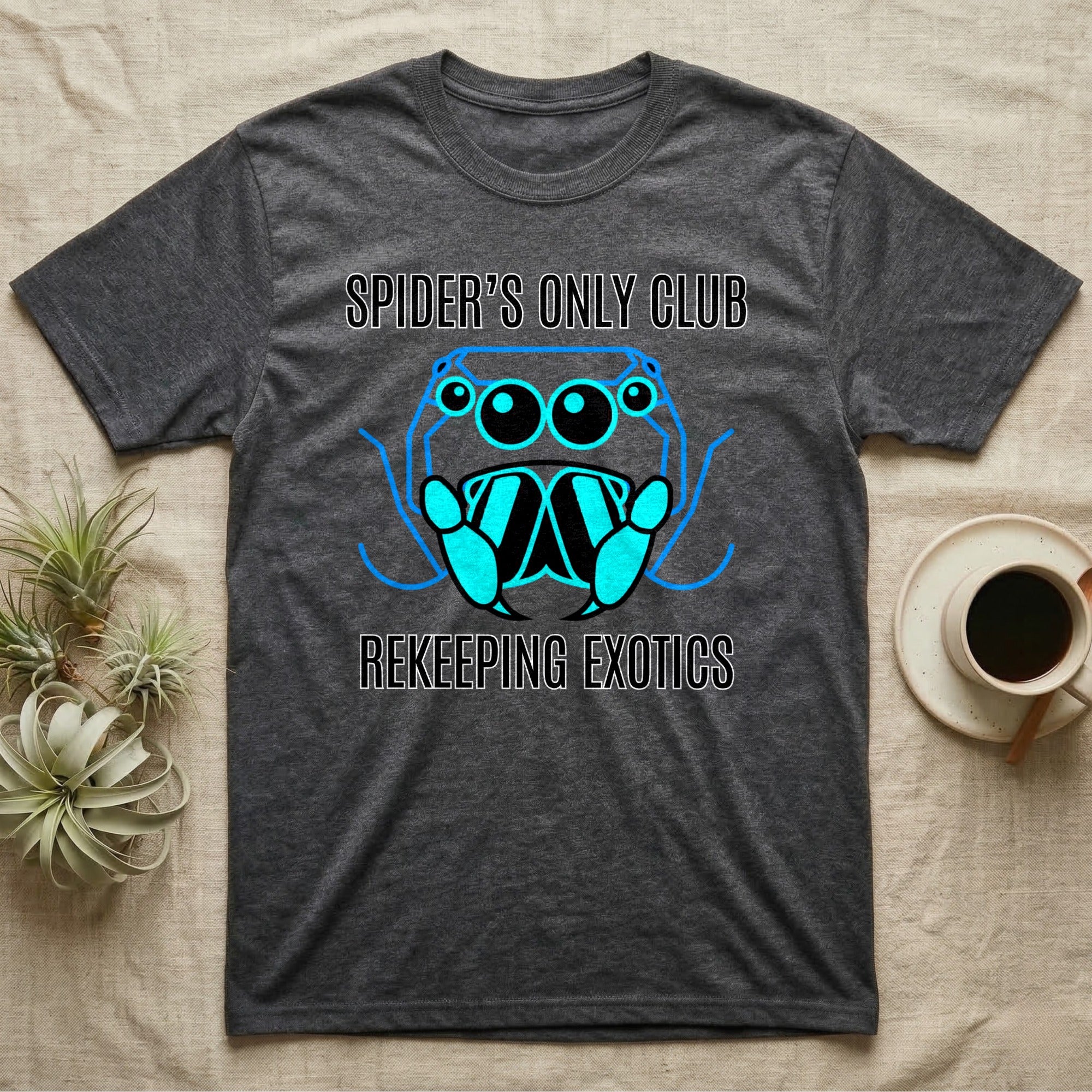 Dark grey t-shirt with "SPIDER'S ONLY CLUB" and spider graphic.
