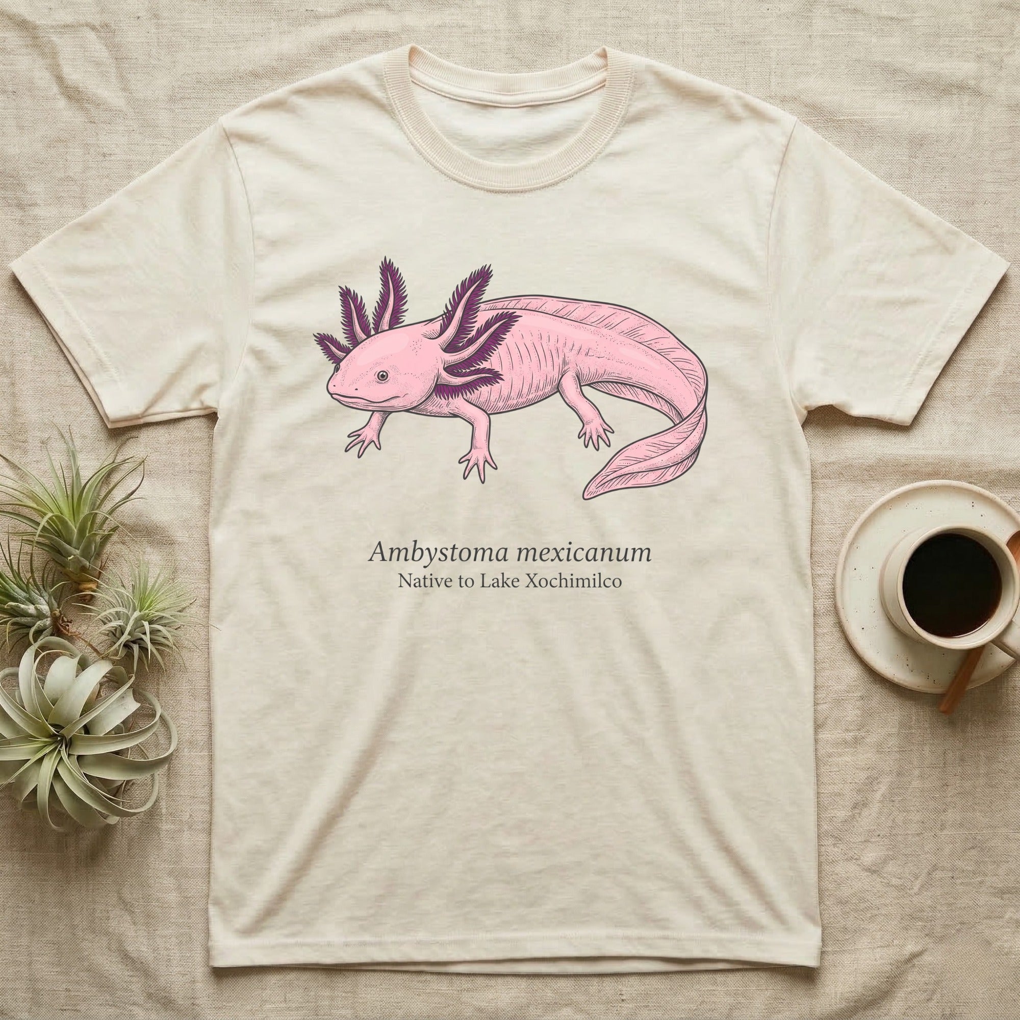 Cream t-shirt with pink axolotl graphic and "Ambystoma mexicanum" text.