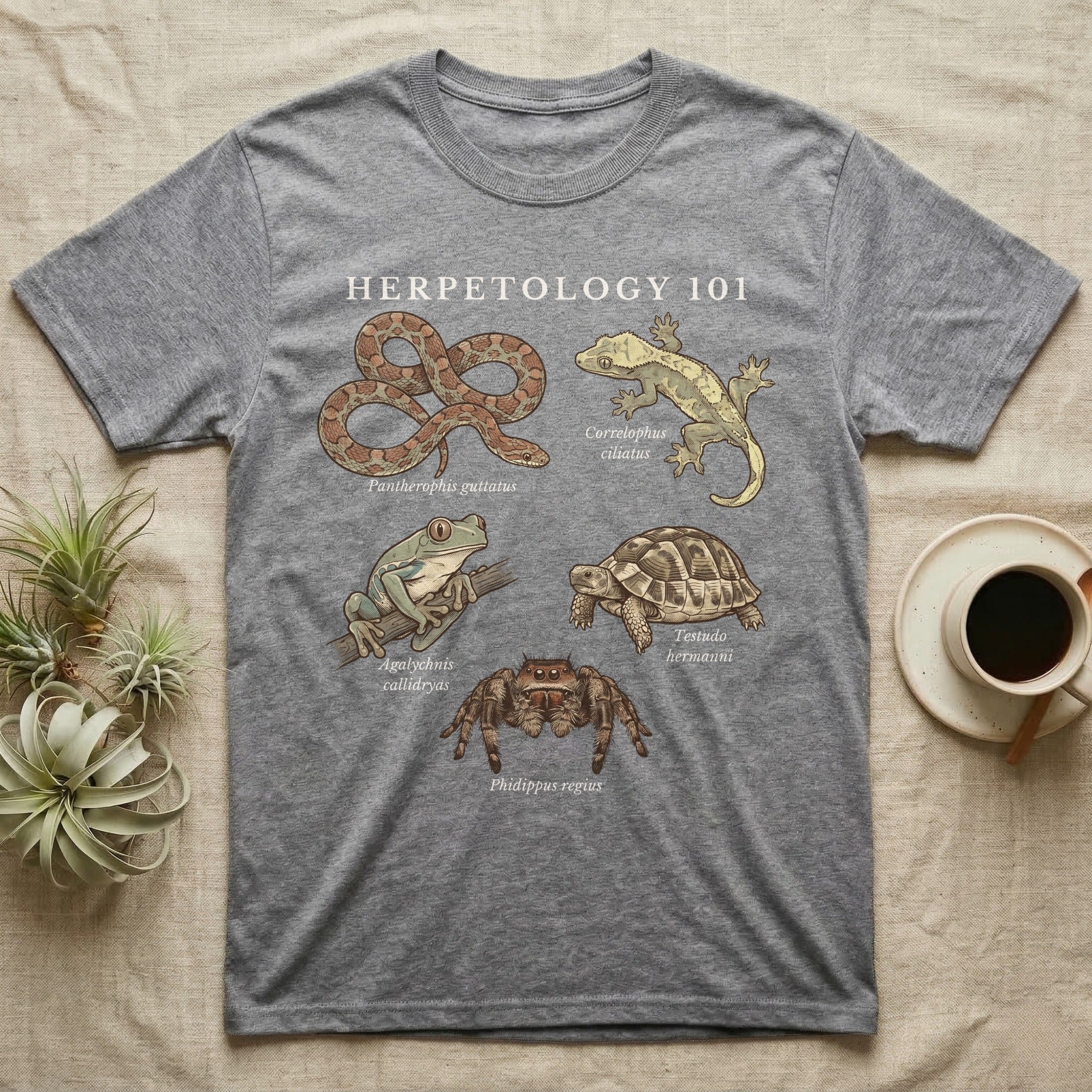 Herpetology 101 Reptile T-Shirt in Sport Grey — Vintage naturalist specimen plate of five terrarium animals arranged as a Herpetology 101 field-guide roster.