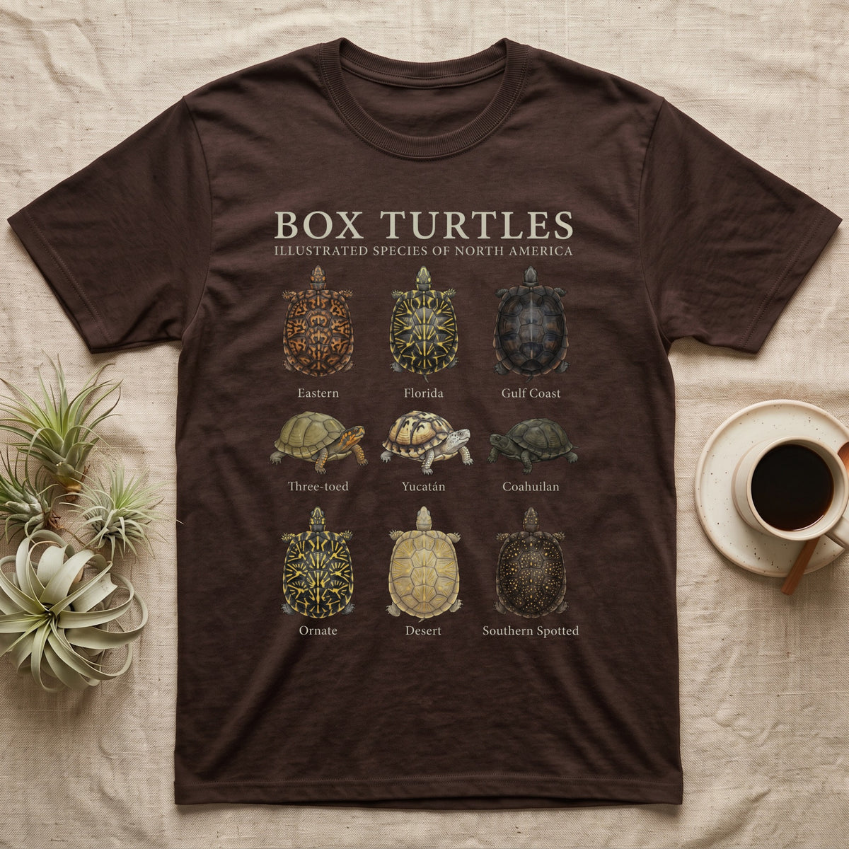 Box Turtle Chart T-Shirt in Dark Chocolate — Watercolour chart of nine named North American box turtles under a cream serif Box Turtles title
