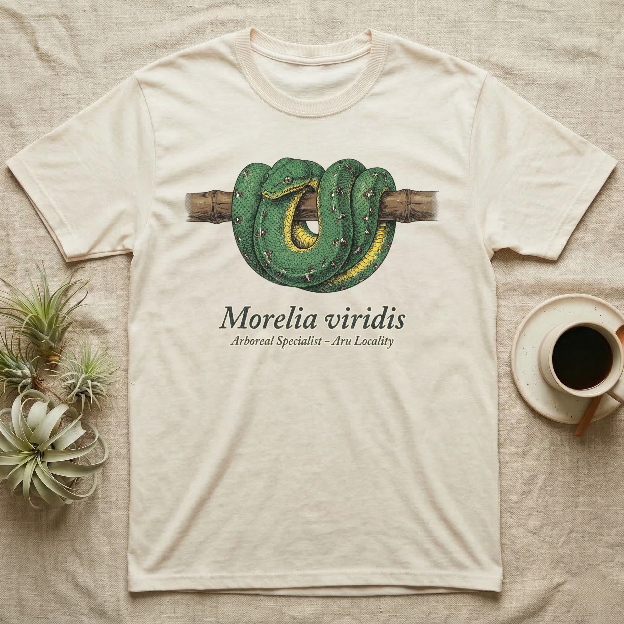 Green tree python coiled on a branch, with scientific name Morelia viridis.