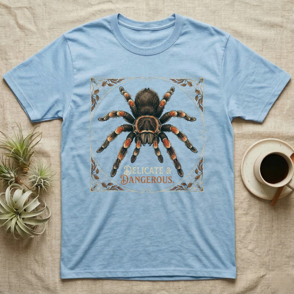Light blue t-shirt with tarantula graphic and text "DELICATE & DANGEROUS".