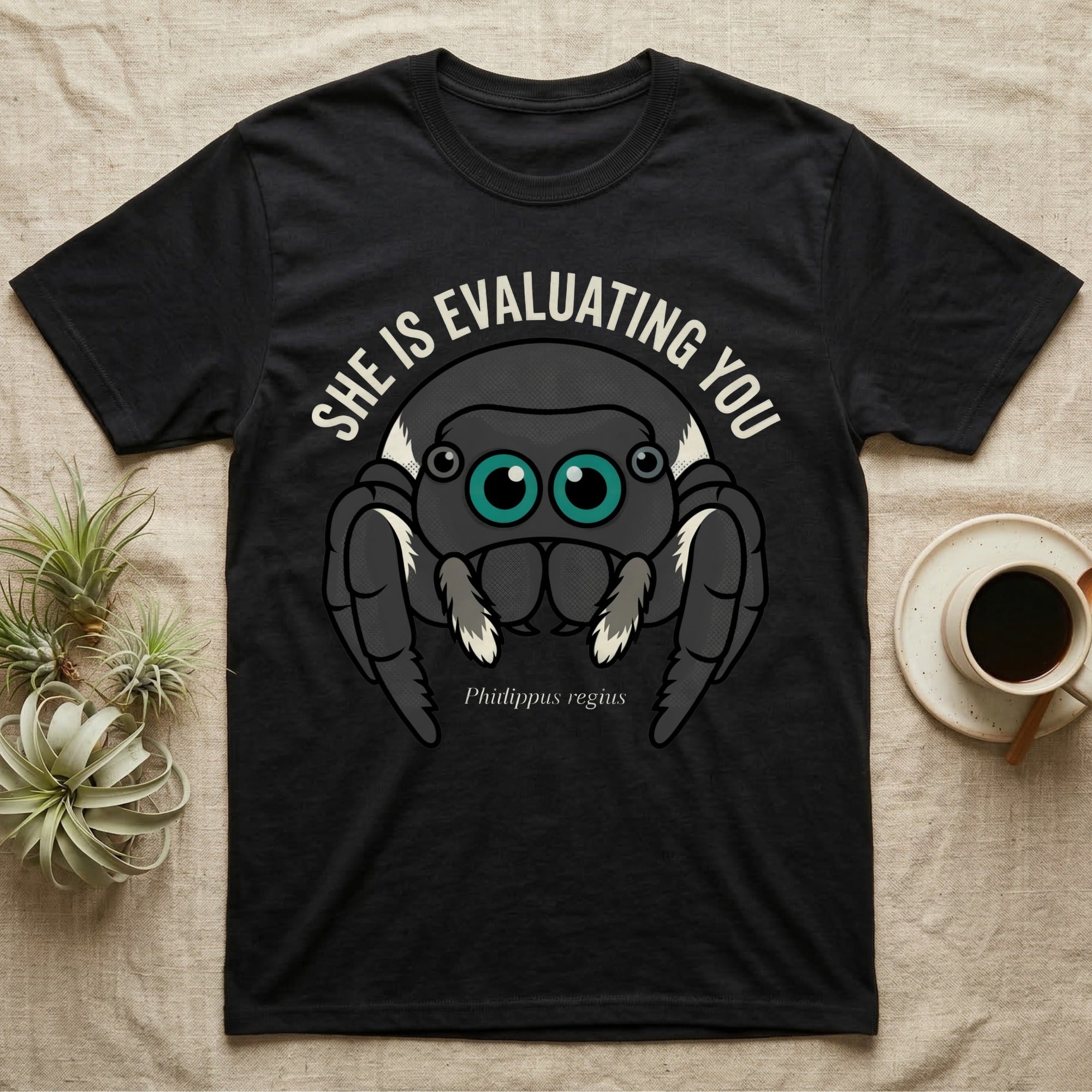 Phidippus Regius Jumping Spider Tee in Black — Vector-bold front-facing regal jumping spider portrait with electric-teal anterior-median eyes on a cream-and-charcoal body.