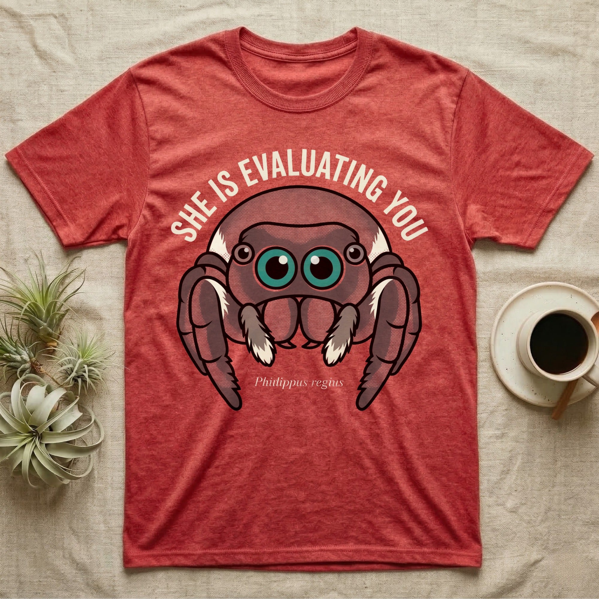 Phidippus Regius Jumping Spider Tee in Heather Red — Vector-bold front-facing regal jumping spider portrait with electric-teal anterior-median eyes on a cream-and-charcoal body.