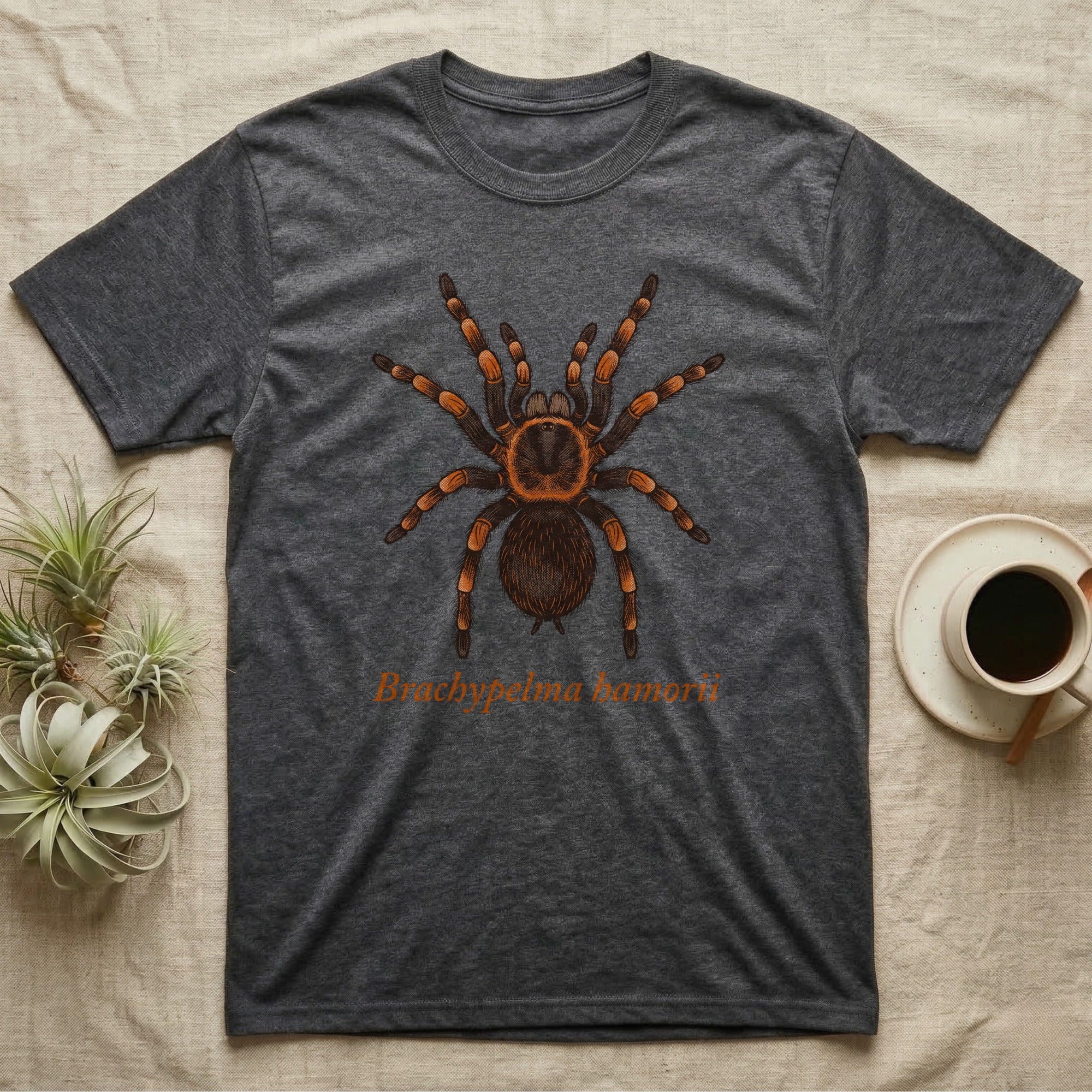 Charcoal t-shirt with a Brachypelma hamorii tarantula illustration and text.