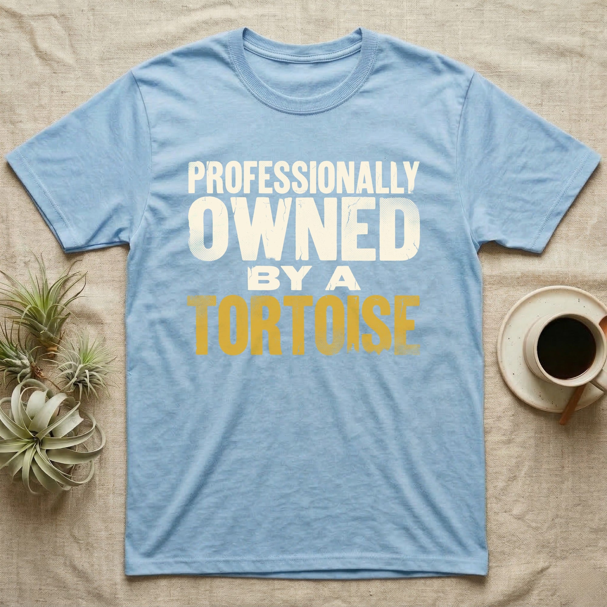 Owned By A Tortoise T-Shirt in Light Blue — Distressed woodtype wordmark reading professionally owned by a tortoise in a bold two-tier lockup, text only.