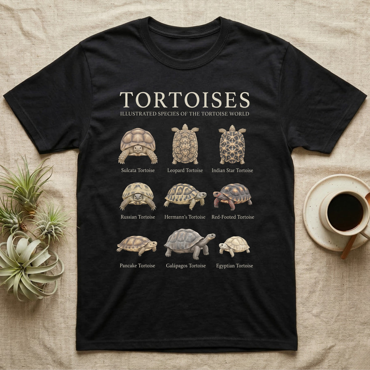 Tortoise Species Chart T-Shirt in Black — Watercolour chart of nine named tortoise species under a cream serif Tortoises title on charcoal grey