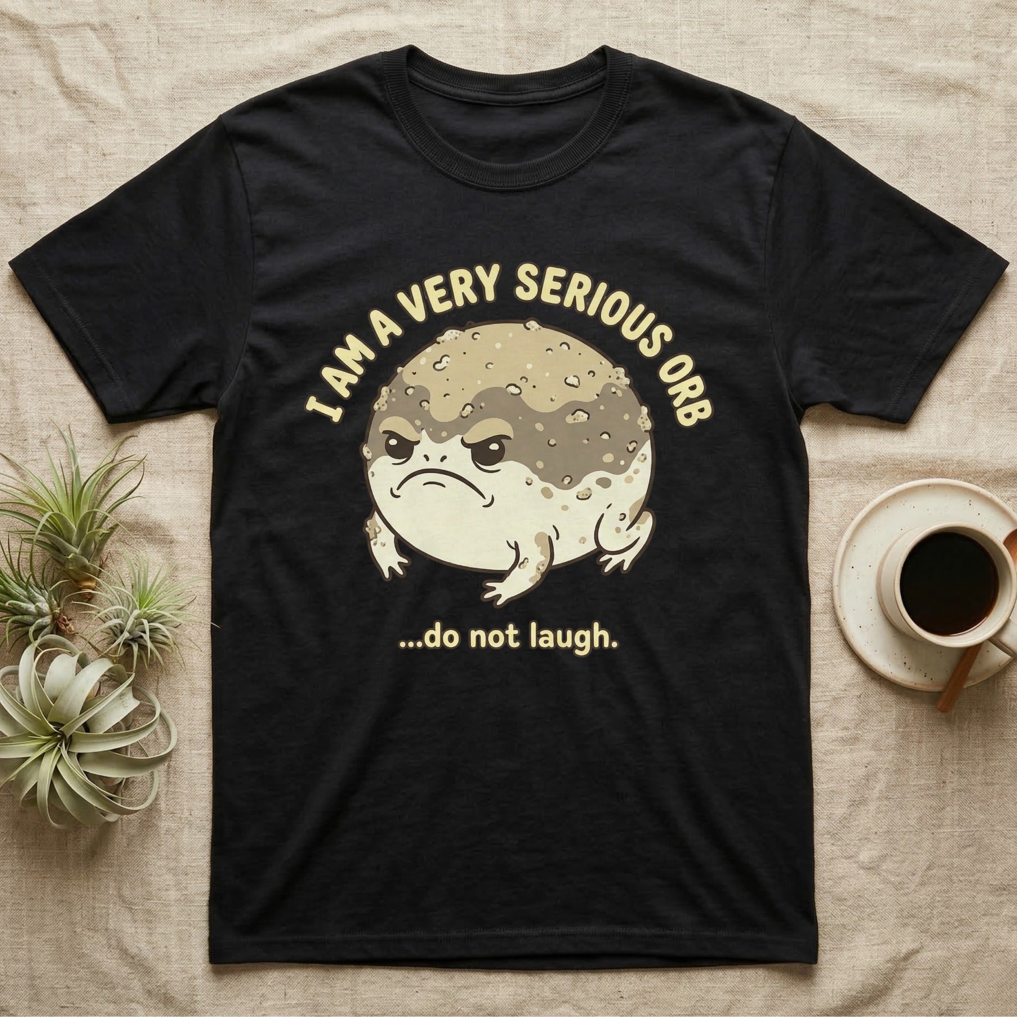 Black t-shirt with grumpy frog saying "I am a very serious orb...do not laugh."