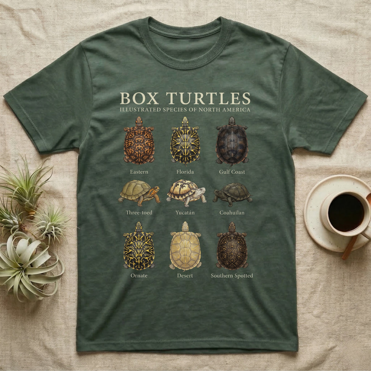 Box Turtle Chart T-Shirt in Military Green — Watercolour chart of nine named North American box turtles under a cream serif Box Turtles title