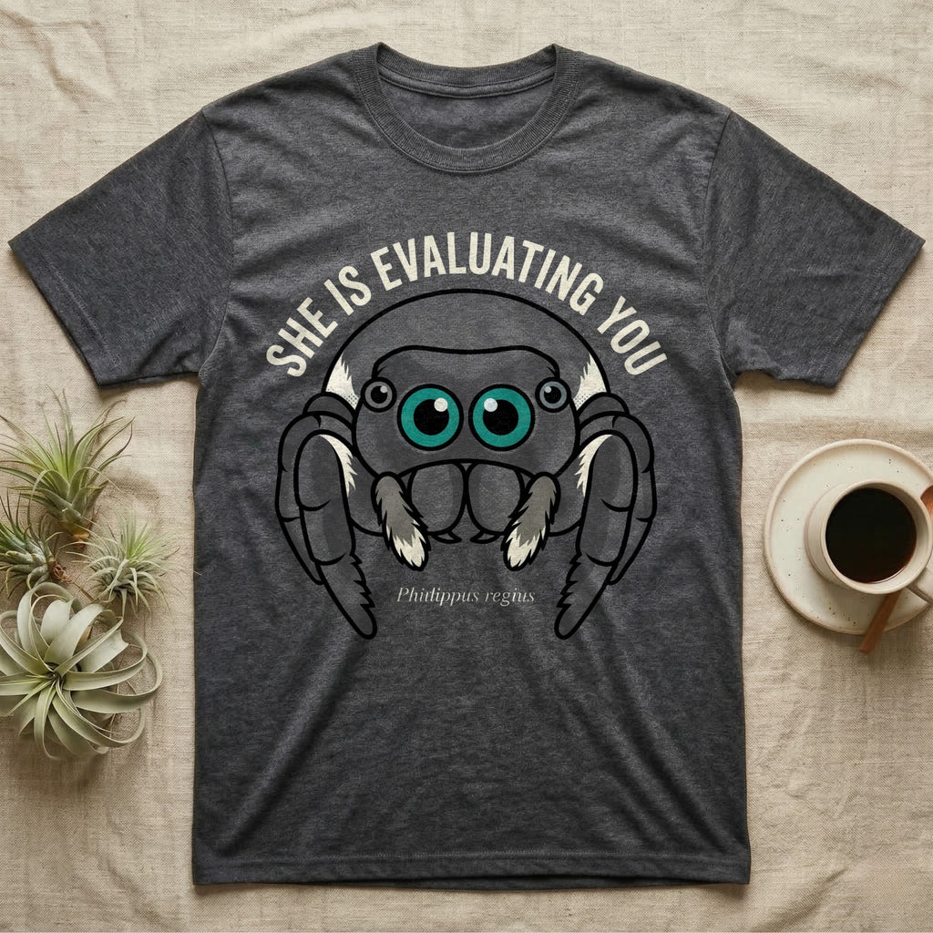 Phidippus Regius Jumping Spider Tee in Dark Heather — Vector-bold front-facing regal jumping spider portrait with electric-teal anterior-median eyes on a cream-and-charcoal body.