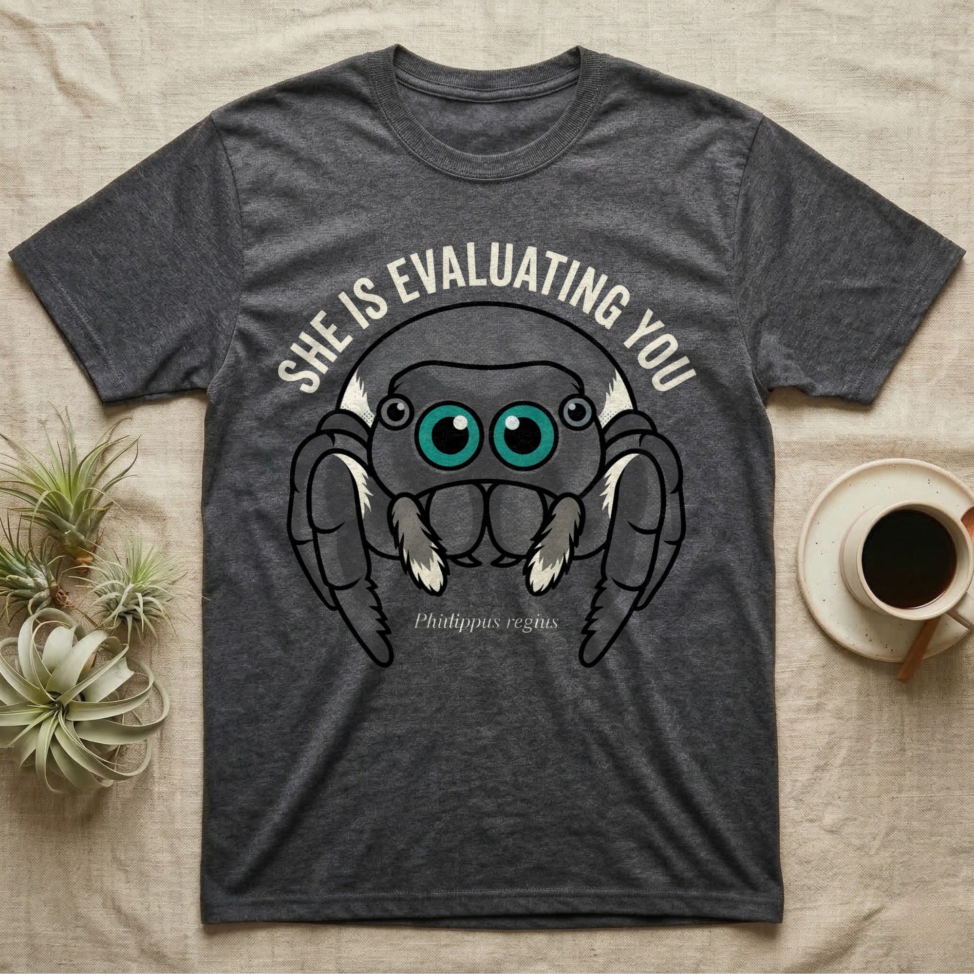 Phidippus Regius Jumping Spider Tee in Dark Heather — Vector-bold front-facing regal jumping spider portrait with electric-teal anterior-median eyes on a cream-and-charcoal body.