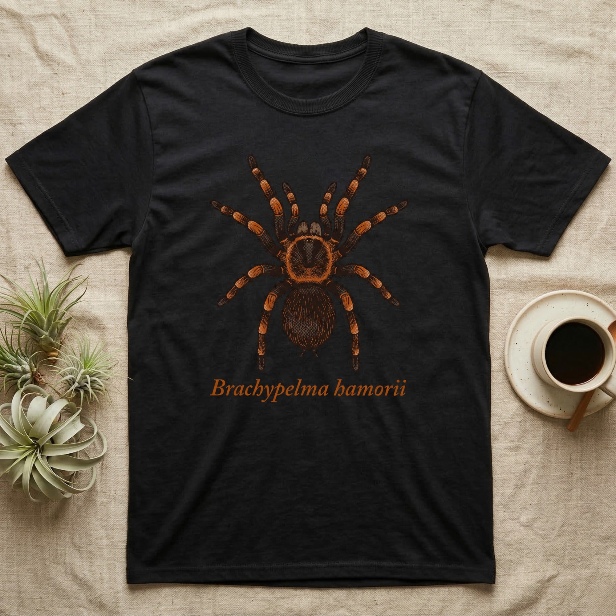 Black t-shirt with Brachypelma hamorii tarantula illustration and name.