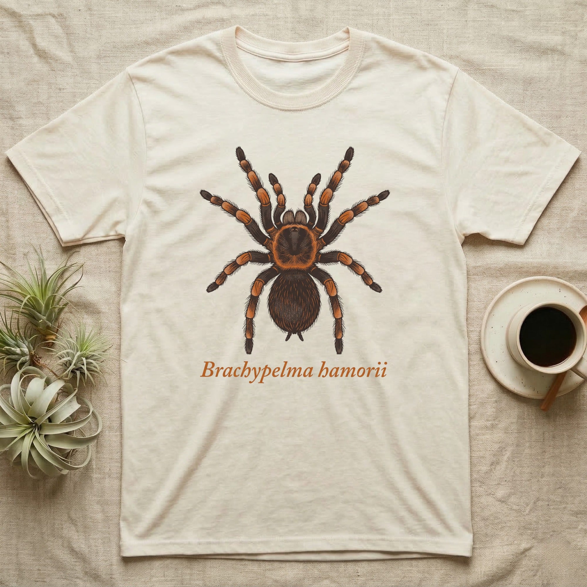 T-shirt with Brachypelma hamorii tarantula illustration.