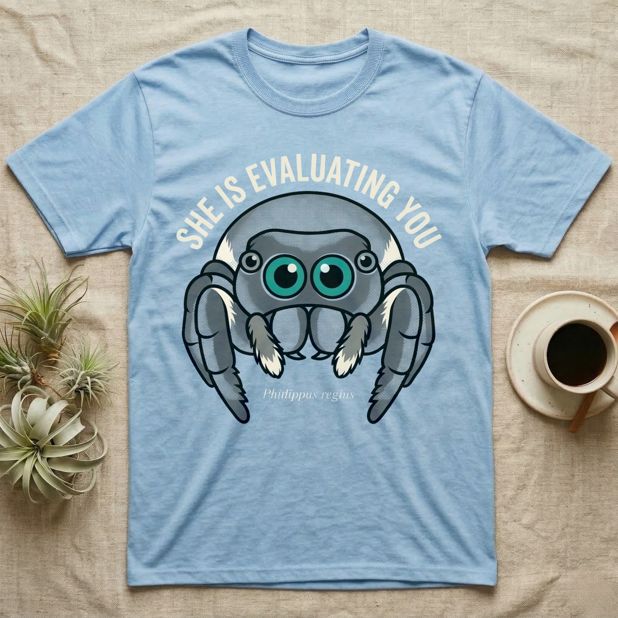 Phidippus Regius Jumping Spider Tee in Light Blue — Vector-bold front-facing regal jumping spider portrait with electric-teal anterior-median eyes on a cream-and-charcoal body.