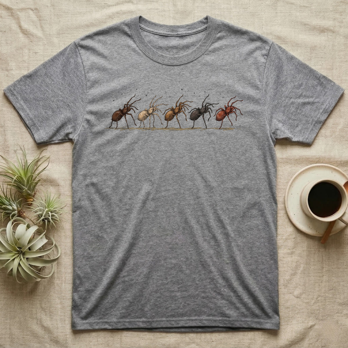 Tarantula Bachelor Parade T-Shirt in Sport Grey — Five tarantulas walking single file in ink and watercolour, small stars scattered in the band above them.