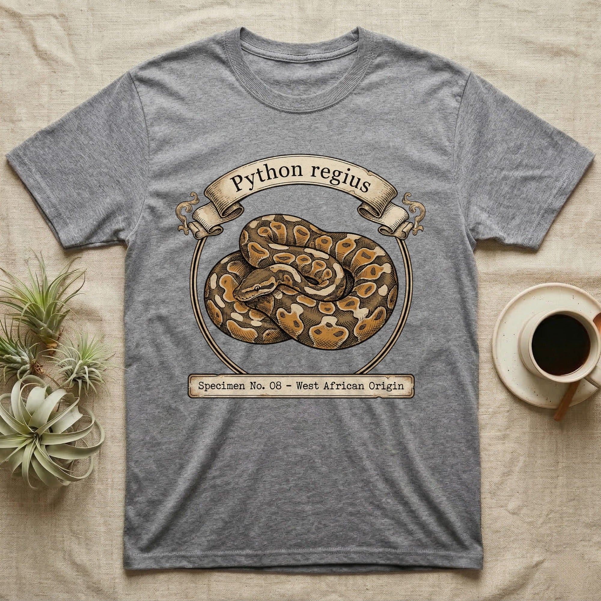 Gray t-shirt with Python Regius illustration and scientific name.