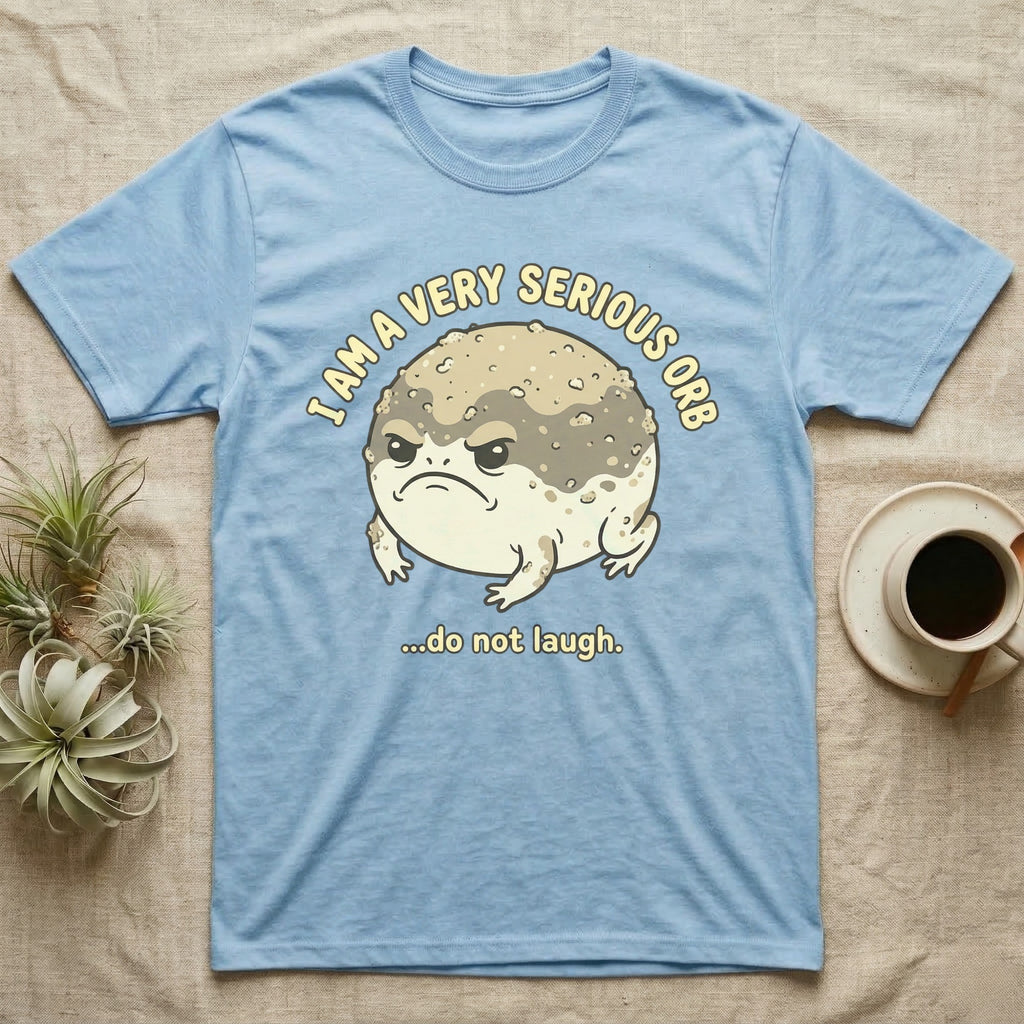 Light blue t-shirt with a grumpy frog illustration and text.