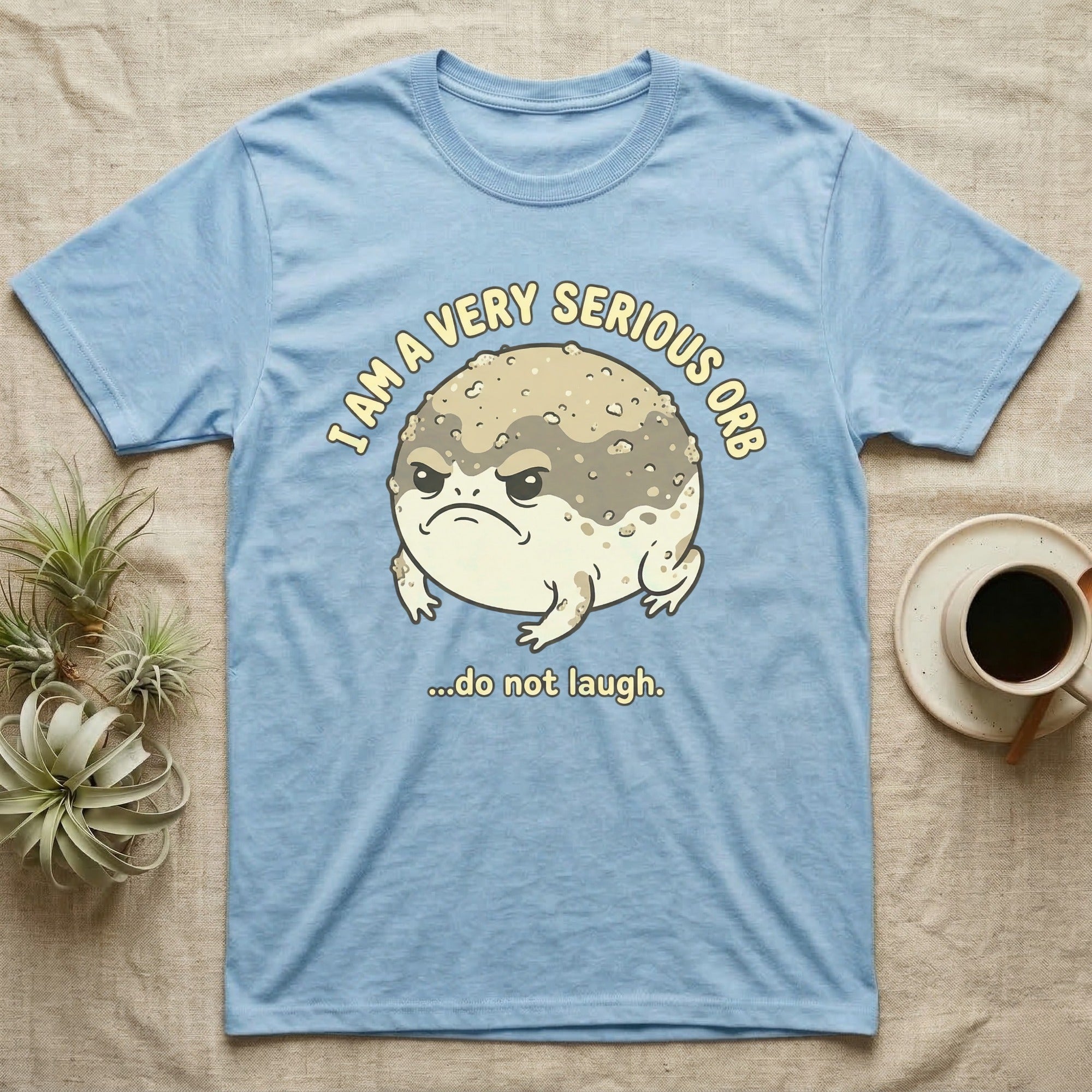 Light blue t-shirt with a grumpy frog illustration and text.